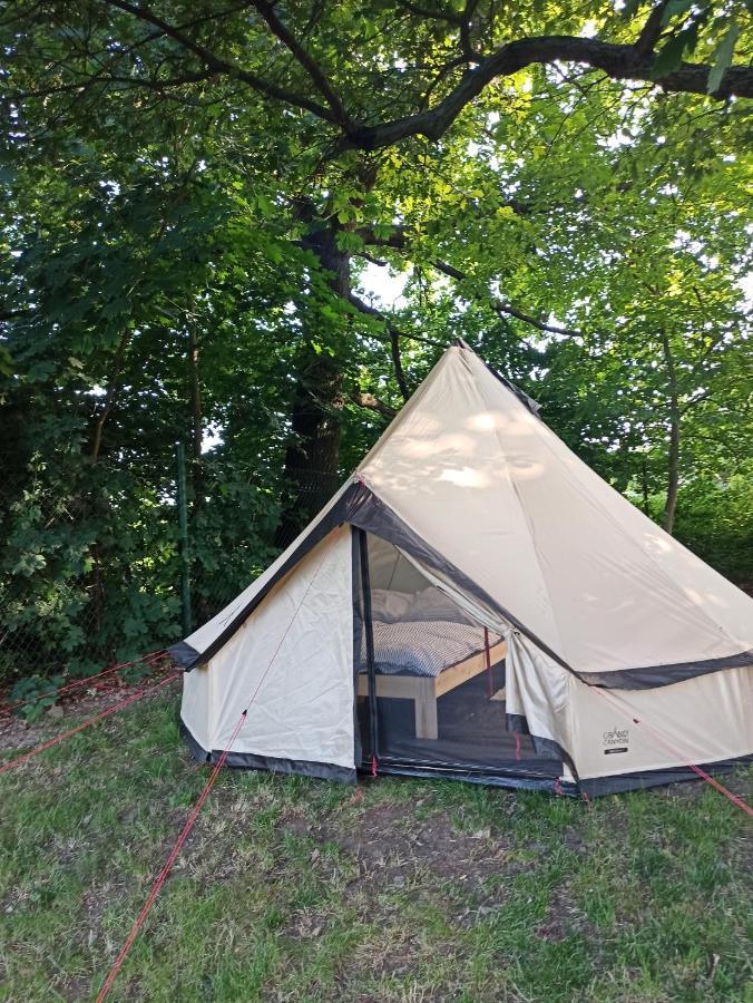 Seberak - V Chatickach A V Luxusnich Stanech Prag